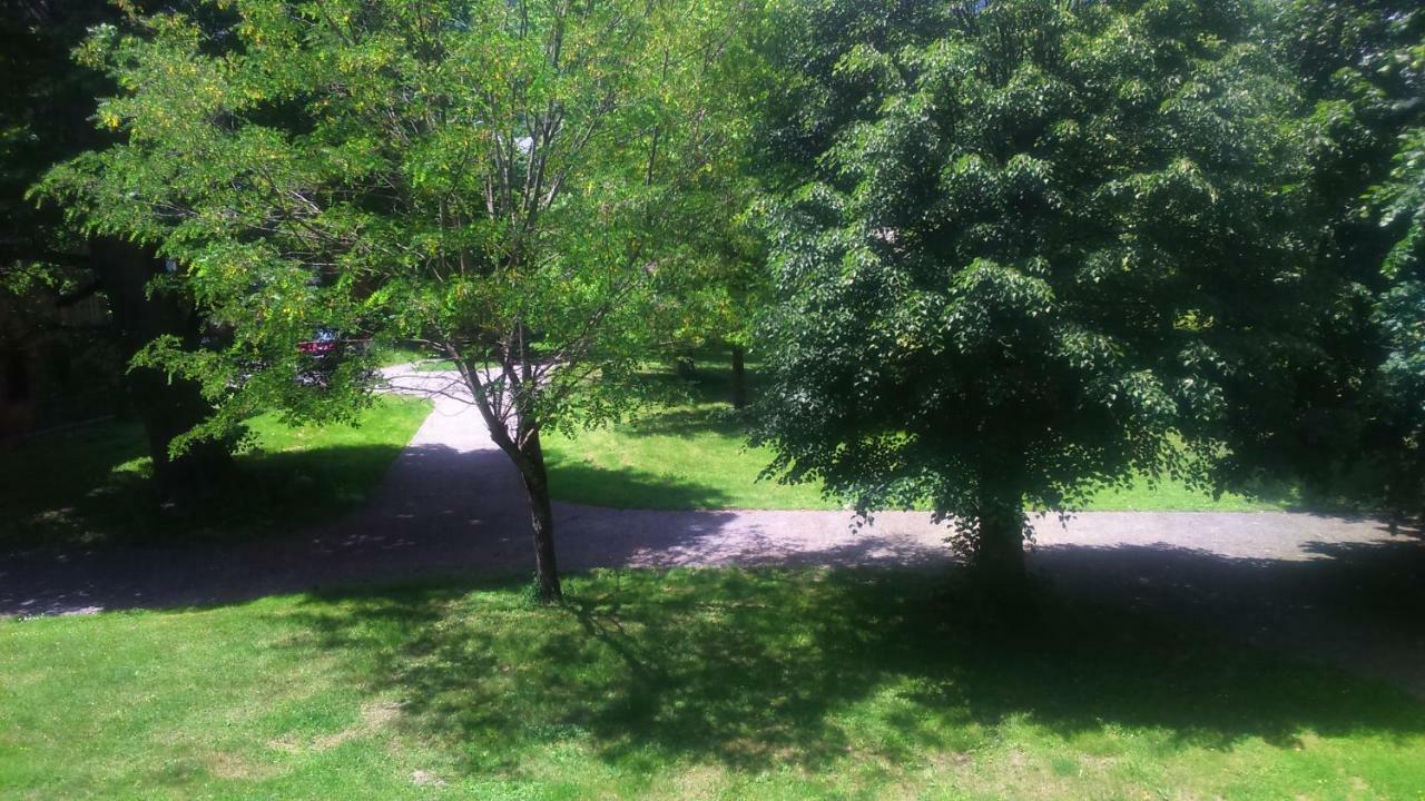 Appartement T2 Jardins De Ramel Bagnères-de-Luchon 外观 照片